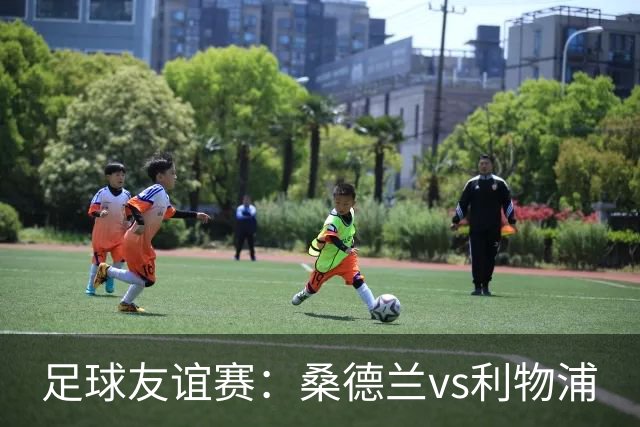 足球友谊赛：桑德兰vs利物浦